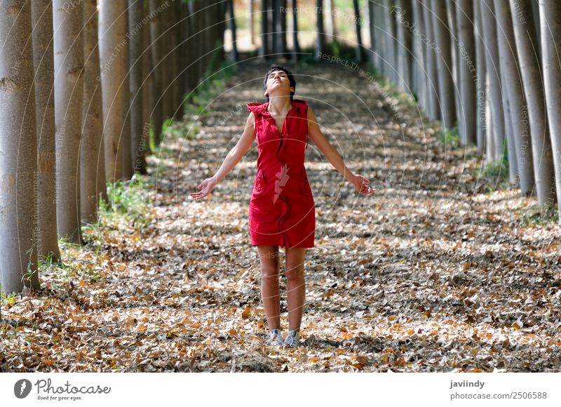 Rot gekleidete Frau, die im Wald meditiert. schön Meditation Freizeit & Hobby feminin Junge Frau Jugendliche Erwachsene 1 Mensch 30-45 Jahre Natur Landschaft