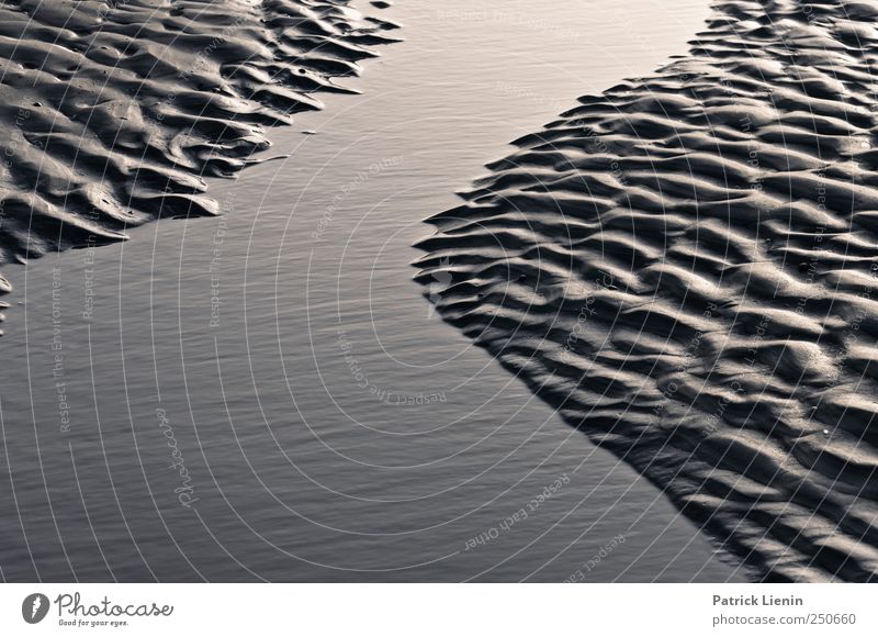 Spiekeroog | Illusion Strand Meer Wellen Umwelt Natur Landschaft Urelemente Erde Sand Wasser Wetter Schönes Wetter Küste Nordsee nass Rippeln Schwarzweißfoto