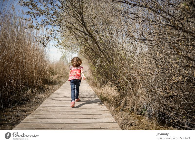 Kleines Mädchen, das auf einem Weg aus Holzplatten in einem Feuchtgebiet geht. Lifestyle Freude Glück schön Freizeit & Hobby Sommer Kind Kindheit 1 Mensch