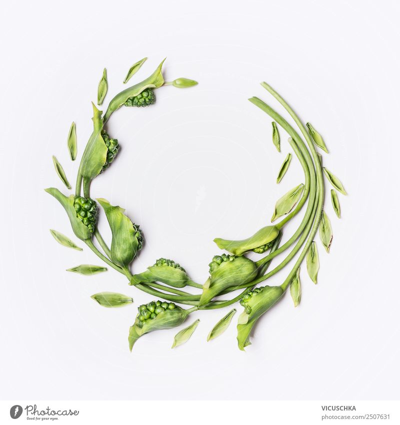 Grüner Kranz mit Blumen und Pflanzen auf weiß Stil Design schön Sommer Dekoration & Verzierung Natur Blatt Blüte Hintergrundbild umwinden Rahmen