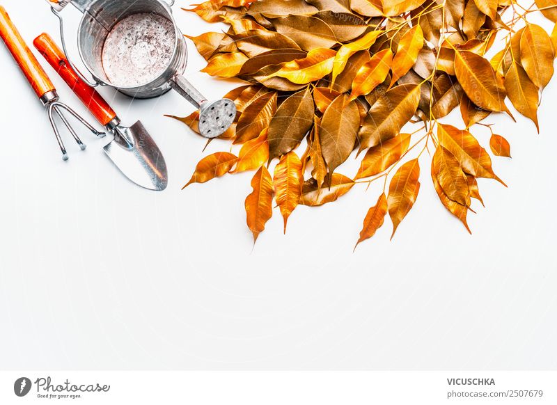Herbstlaub mit Gießkanne und Gartengeräten Stil Design Freizeit & Hobby Häusliches Leben Natur Blatt gelb Hintergrundbild Gartenarbeit Schaufel
