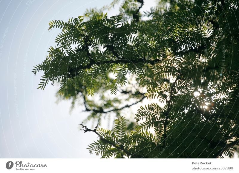#A# green sky Umwelt Natur ästhetisch grün Baum Blatt Zweige u. Äste Farbfoto Gedeckte Farben Außenaufnahme Detailaufnahme Experiment Muster Menschenleer