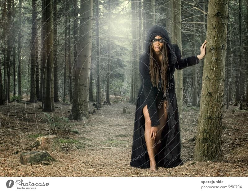 the wolf feminin Junge Frau Jugendliche Erwachsene 1 Mensch 18-30 Jahre Landschaft Baum Sträucher Farn beobachten berühren außergewöhnlich exotisch Neugier