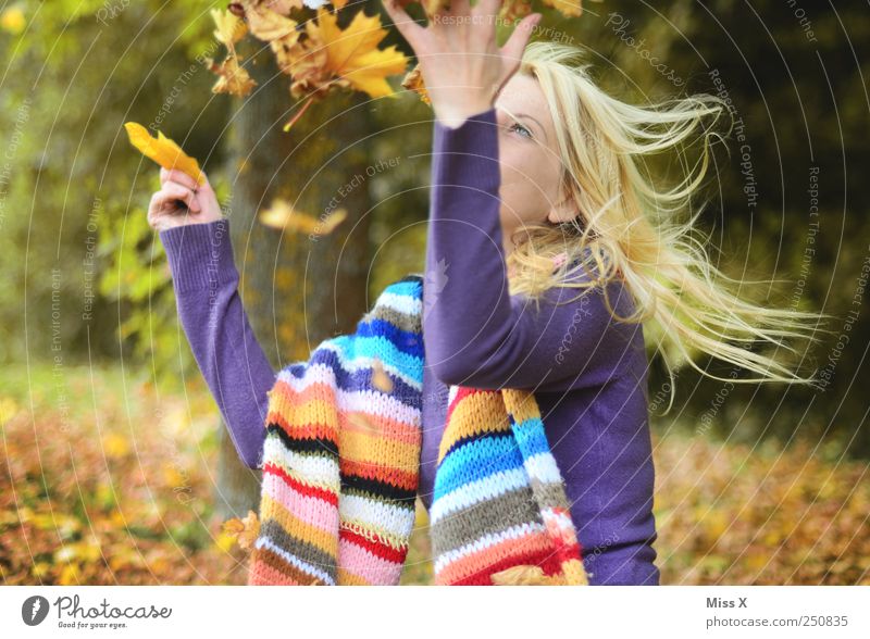 Herbstlich Freizeit & Hobby Mensch Junge Frau Jugendliche 1 18-30 Jahre Erwachsene Schönes Wetter Baum Blatt Garten Wald fliegen lachen werfen Fröhlichkeit