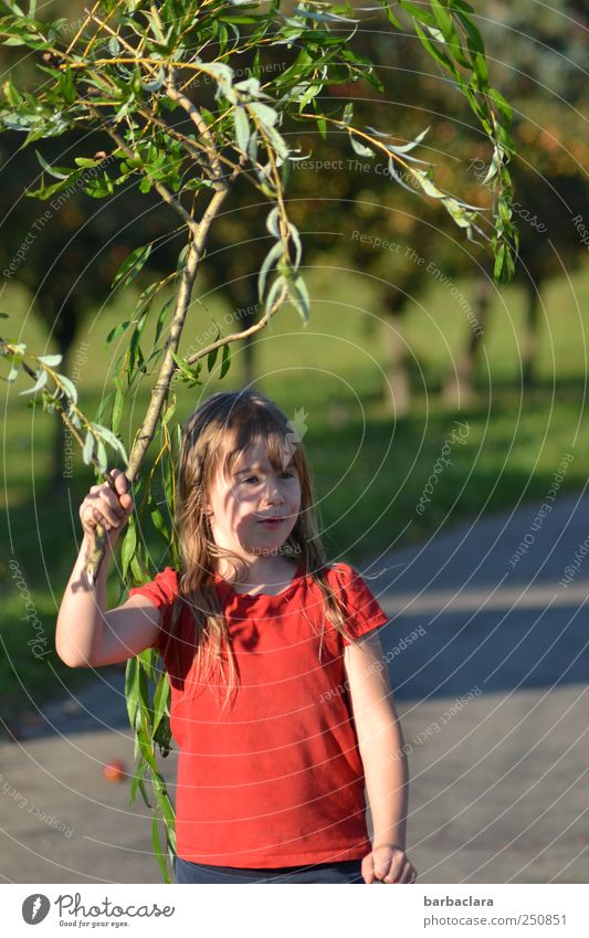 Hexle mit Besen/CHAMANSÜLZ 2011 Kind Mädchen Kindheit 3-8 Jahre Natur Landschaft Pflanze Sonne Schönes Wetter Baum Sträucher Wiese Straße Wege & Pfade T-Shirt
