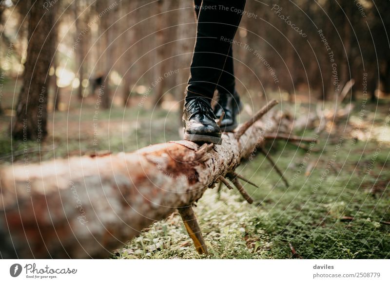 Frauenbeine mit schwarzen Hosen und Schuhen, die auf einem umgefallenen Baumstamm gehen Lifestyle Stil Glück Spielen Abenteuer wandern Mensch Erwachsene Fuß 1