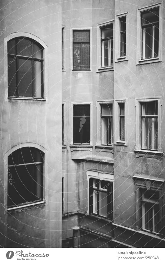 hinterhaus Wien Österreich Stadt Altstadt Menschenleer Haus Bauwerk Gebäude Hinterhaus Mauer Wand Fassade Fenster dunkel eckig einfach Gefühle Stimmung