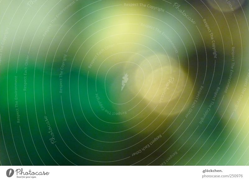 5. Armband Glas weich gelb grün weiß bizarr erleben geheimnisvoll Farbfoto Innenaufnahme Makroaufnahme Experiment abstrakt Menschenleer Kunstlicht Silhouette