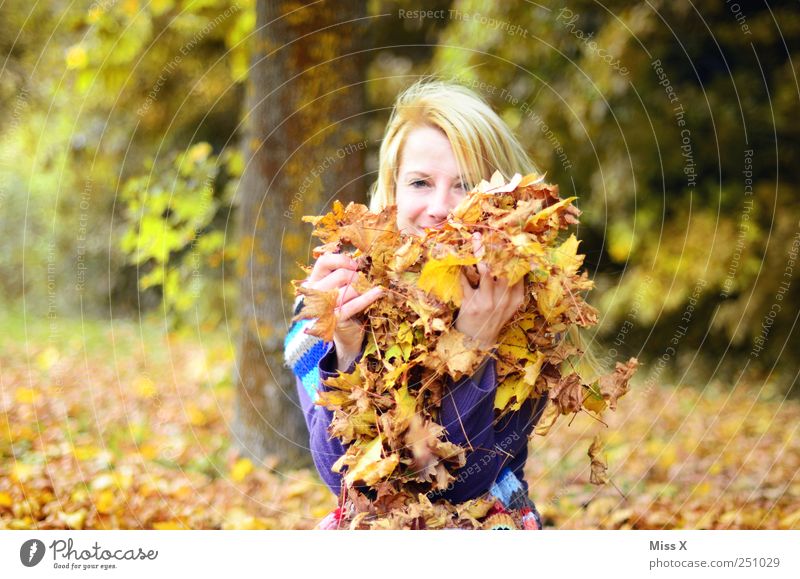 im Laubhaufen Spielen Mensch feminin Junge Frau Jugendliche 1 18-30 Jahre Erwachsene Natur Herbst Schönes Wetter Baum Blatt Garten Park Wald blond werfen