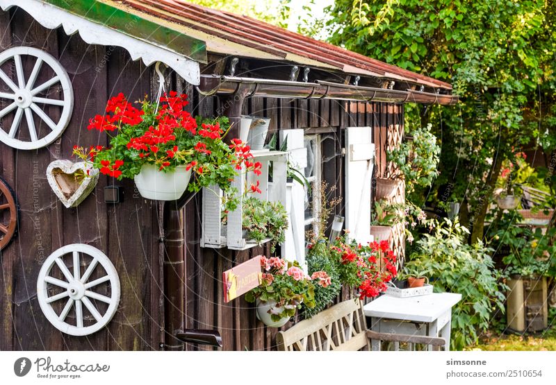 Gartenhütte mit Blumen im Sommer Tisch Blüte Hütte Dachrinne Ampel weiß Holzhütte Bayern Pelargonie bepflanzt Regenrinne idylisch romantisch Gartenbank