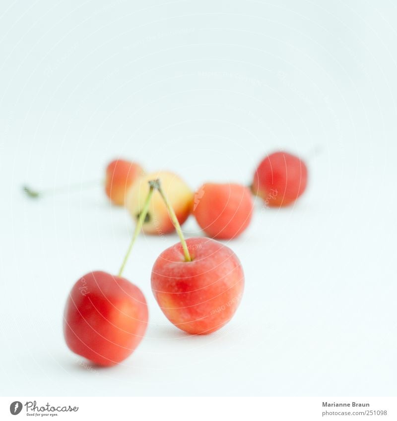 wilde Äpfel Lebensmittel Frucht Apfel Kugel gelb grün rot schwarz klein rund süß reif wilde äpfel schön fein mehrfarbig Ernährung saftig Makroaufnahme Natur