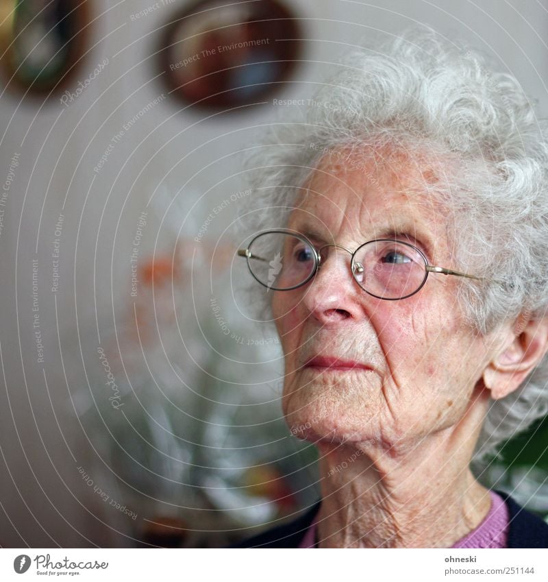 Skepsis Mensch Weiblicher Senior Frau Großmutter Kopf Gesicht 1 60 und älter alt Sorge skeptisch Gedanke nachdenklich ungewiss Hautfalten Farbfoto Innenaufnahme