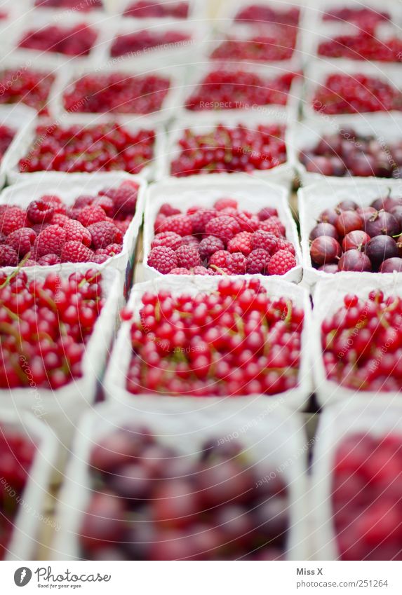 pink rosa rot Lebensmittel Frucht Ernährung Bioprodukte frisch lecker saftig sauer süß Appetit & Hunger Wochenmarkt Obst- oder Gemüsestand Marktstand Obstschale