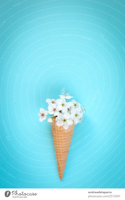 Weiße Blumen Eiscreme Kegel. Lebensmittel Lifestyle kaufen Stil Design Dekoration & Verzierung Kunst Pflanze Blüte Grünpflanze Topfpflanze Ornament authentisch