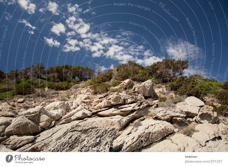 Urlaubsfoto Landschaft Himmel Wolken Schönes Wetter Baum Pinie Felsen Berge u. Gebirge Gipfel Sardinien Stein authentisch natürlich Perspektive