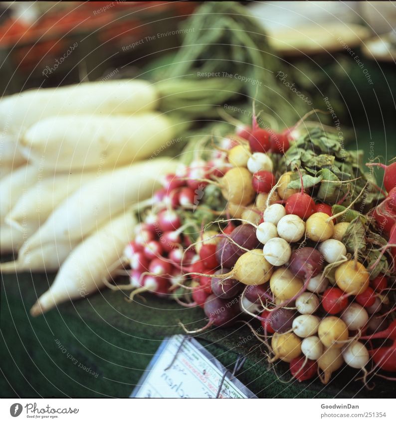 München. Lebensmittel Gemüse Radieschen Rettich Ernährung Marktplatz Marktstand Decke Duft exotisch lecker rund saftig mehrfarbig Farbfoto Außenaufnahme