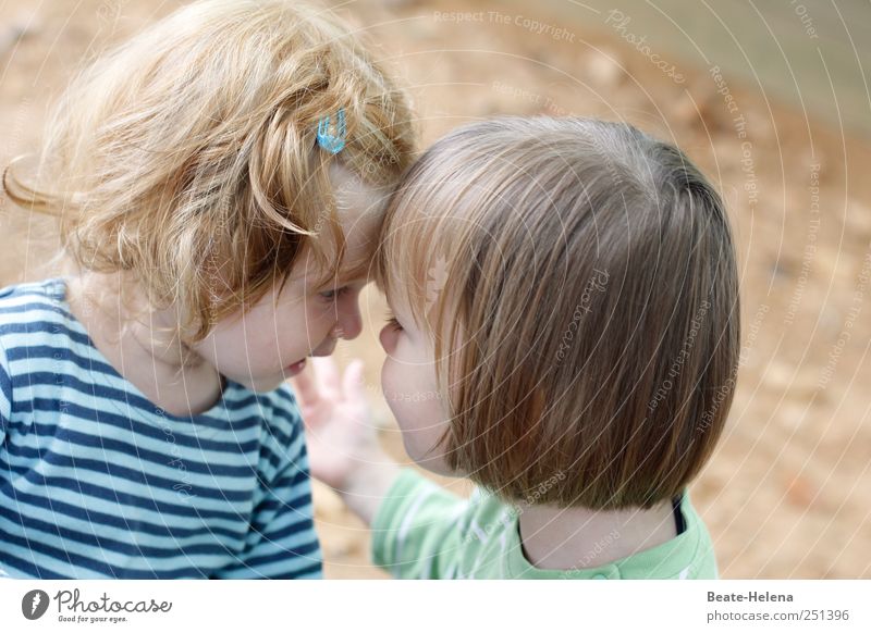 Kleine Geheimnisse Kinderspiel Sommer Mensch Freundschaft Kindheit Kopf 2 1-3 Jahre Kleinkind Spielplatz T-Shirt blond kurzhaarig berühren entdecken
