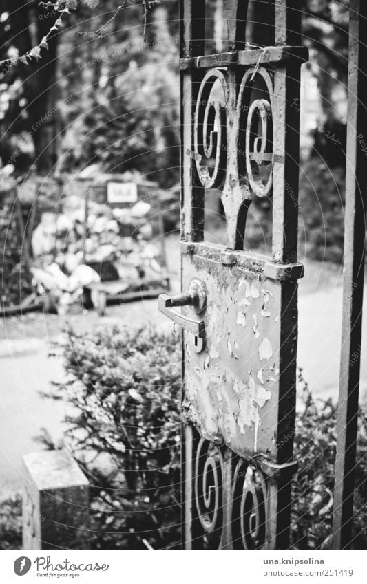 anfang vom ende Park Friedhof Friedenau Tür Eingang Tor Beginn Tod Trauer Vergänglichkeit verlieren Schmiedekunst Schwarzweißfoto Außenaufnahme Detailaufnahme