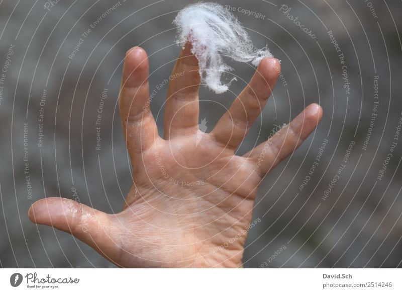 Zuckerwatte klebt an Kinderhand Hand Finger 3-8 Jahre Kindheit berühren grau weiß kleben Klebrig unbequem Kohäsion Farbfoto Außenaufnahme Nahaufnahme