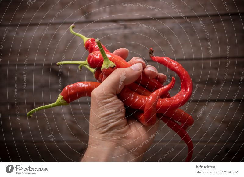 ein Handvoll Peperoni Gemüse Bioprodukte Vegetarische Ernährung Gesunde Ernährung Koch Küche Mann Erwachsene Finger Holz wählen gebrauchen berühren festhalten