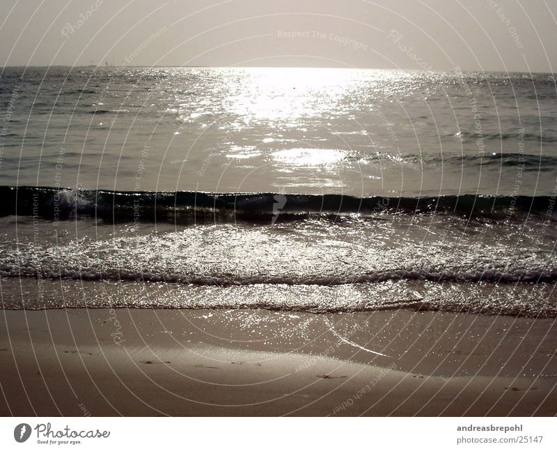wasser halt...wat sonst? Horizont Wellen Spiegel brechen Strand Wasser Sonne Reflexion & Spiegelung Sand