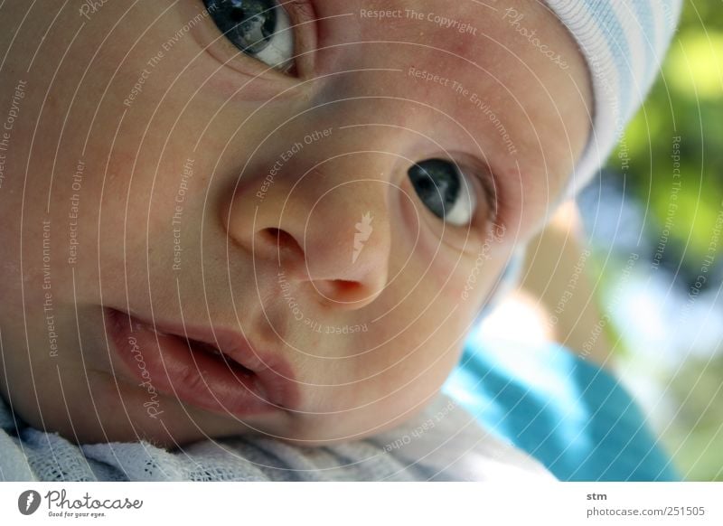 Baby liegt auf einer Decke Mensch maskulin Kind Kleinkind Junge Kindheit Haut Kopf Gesicht Auge Nase Mund Lippen 1 0-12 Monate Mütze beobachten schön Neugier