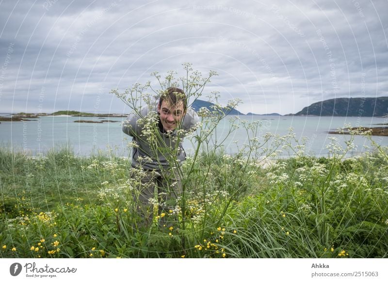 Durch die Blume Bildung Studium lernen Student Bildungsreise Junger Mann Jugendliche 1 Mensch Natur Sommer Pflanze Küste Fjord Meer Polarmeer Insel beobachten