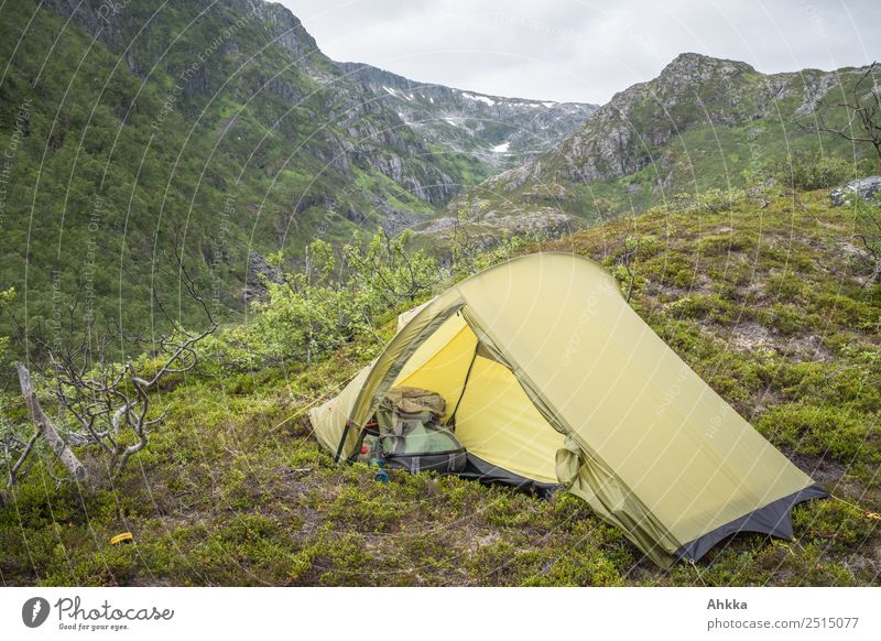 Ein grünes Zelt steht im Gebirge Zeltlager Berge u. Gebirge offen Abenteuer Sicherheit wild Norwegen rau Schutz gemütlich friedlich Freiheit Natur Felsen