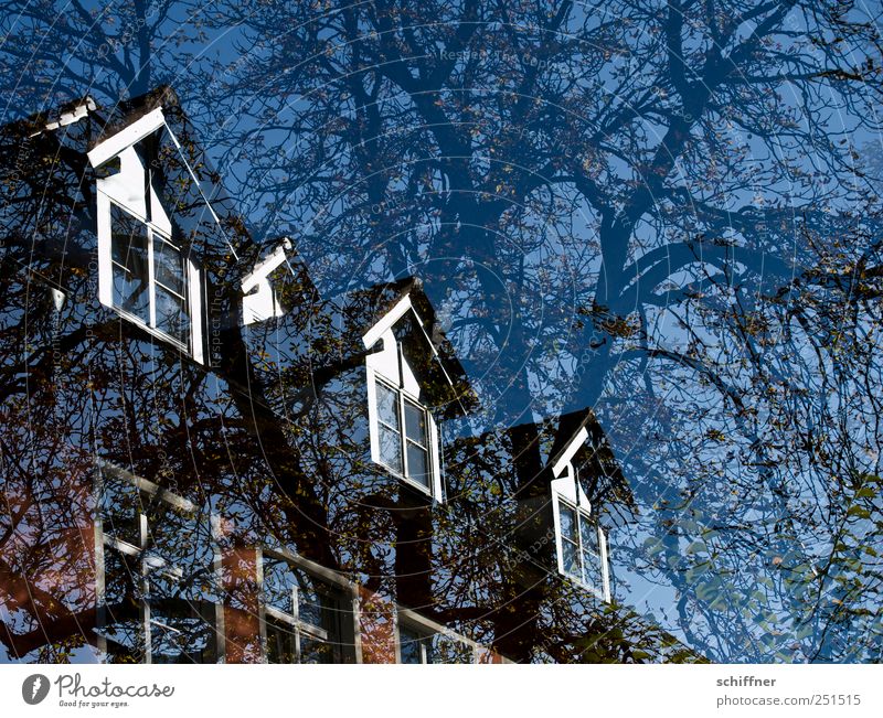 Chamansülz | Baumhaus II Pflanze Schönes Wetter Haus Bauwerk Fassade Fenster blau Ast Baumstamm Dach Dachgaube Niedrigenergiehaus ökologisch Wärmeisolierung