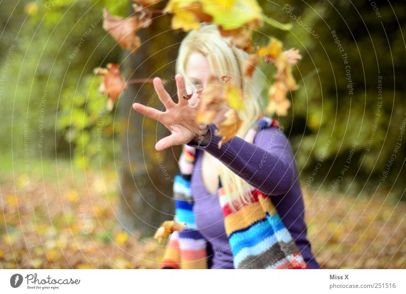 Wurf Mensch feminin Junge Frau Jugendliche Hand 1 18-30 Jahre Erwachsene Herbst Blatt Garten Park Schal blond werfen Fröhlichkeit Gefühle Freude Lebensfreude