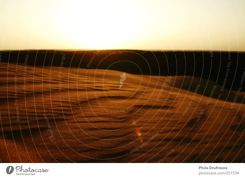 wüste Landschaft Sand Sonnenaufgang Sonnenuntergang Sommer Schönes Wetter Wüste schön Fernweh Farbfoto Außenaufnahme Menschenleer Dämmerung Sonnenlicht