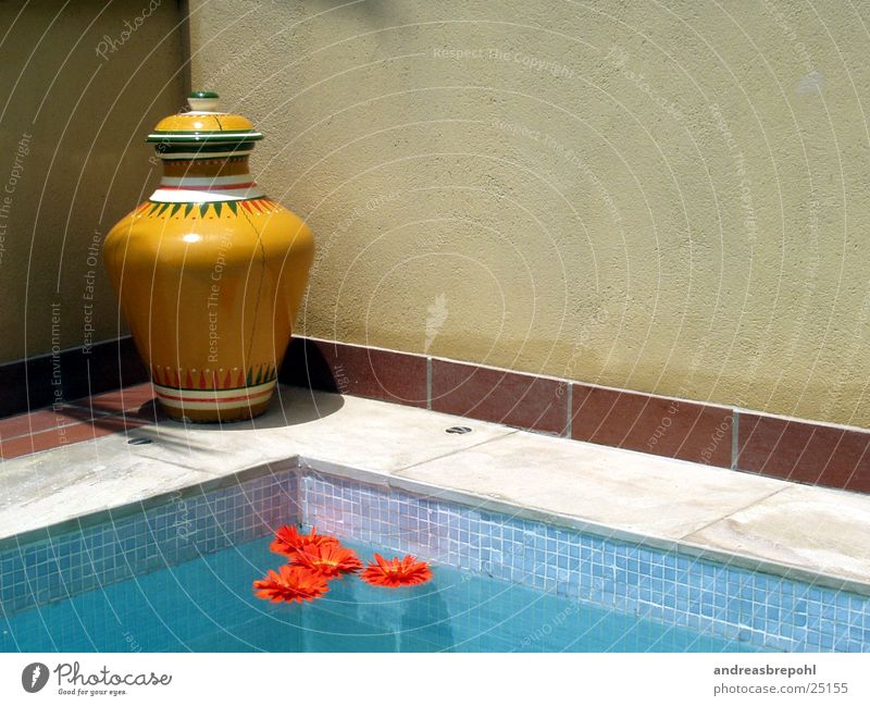 Sonnenkomposition mit Pool und Blumen Vase Physik Licht nass Schweben Wasser Wärme Schatten Fliesen u. Kacheln Im Wasser treiben