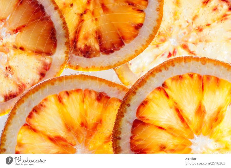 Makroaufnahme fünf Scheiben einer Orange Lebensmittel Frucht Trinkwasser Saft Gesundheit rund saftig süß Luftblase Foodfotografie Farbfoto Studioaufnahme