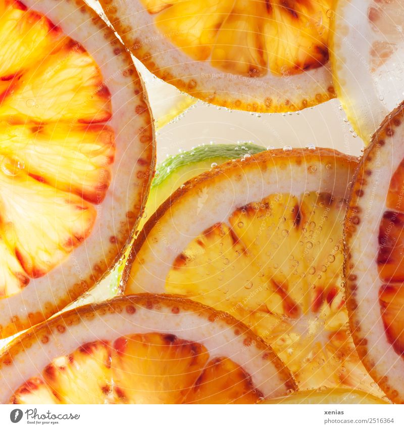 Makroaufnahme - Eine grüne Limette unter Orangen Frucht Zitrone Bioprodukte Lebensmittel Vegetarische Ernährung Erfrischungsgetränk Trinkwasser rund saftig