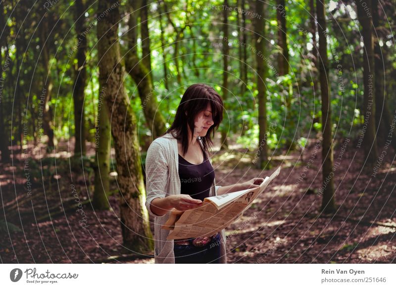 Zeitungswald Baum Wald lesen Frau dunkles Haar dunkelhaarig Farbfoto Außenaufnahme Textfreiraum Mitte Blick nach unten