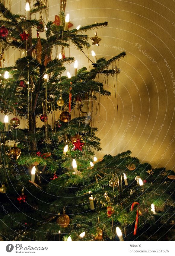 Es Weihnachtet sehr Dekoration & Verzierung Feste & Feiern Winter Baum leuchten glänzend Stimmung Weihnachtsbaum Weihnachtsdekoration Weihnachtsbeleuchtung