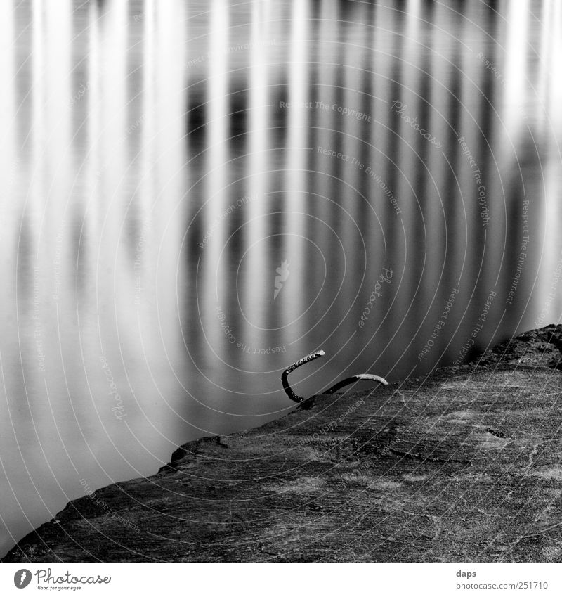reflections Kunst Umwelt Natur Wasser Küste Flussufer Main Gefühle Fröhlichkeit Zufriedenheit Cologne Fine Art Schwarzweißfoto black white Quadrat 6x6
