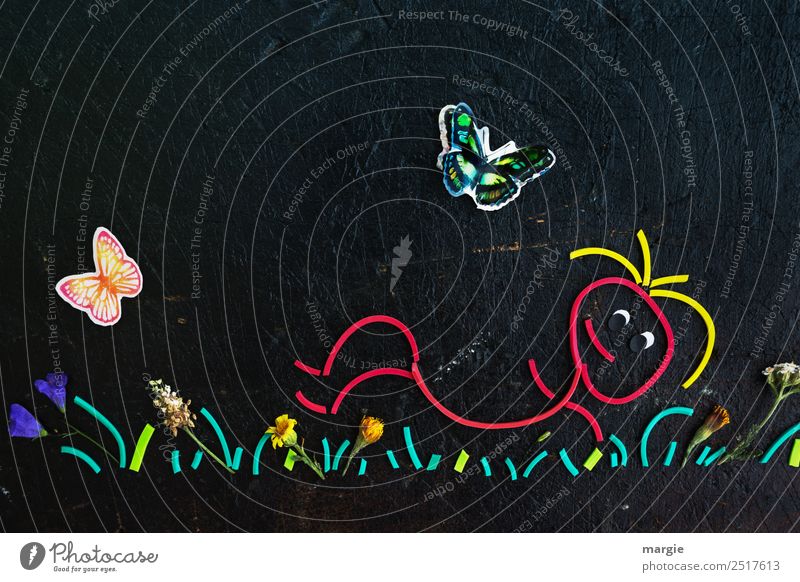 Gummiwürmer: Endlich Sommer! Ein Mensch liegt in einer Blumenwiese und schaut den Schmetterlingen zu Wohlgefühl Freizeit & Hobby Ferien & Urlaub & Reisen