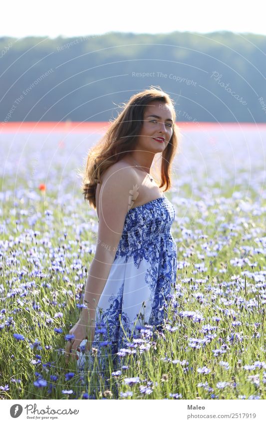 Porträt einer jungen Frau auf einem Kornblumefeld Jugendliche Junge Frau Mädchen Feld schön blau Blumenstrauß hell Farbe Tag Pflanze Freiheit Freude Lifestyle