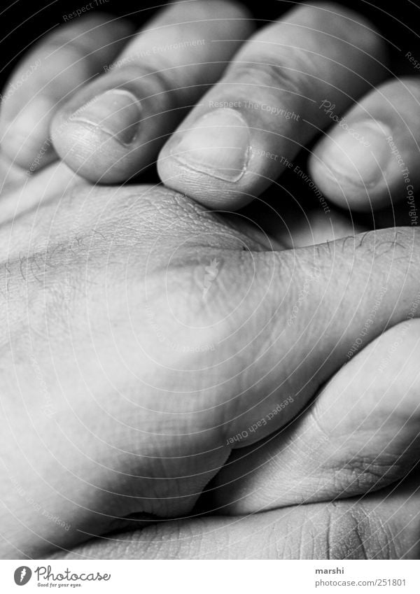 liebevolle Hände Mensch maskulin Haut Hand Finger weich Nagel Detailaufnahme Männerhand gepflegt Falte Schwarzweißfoto