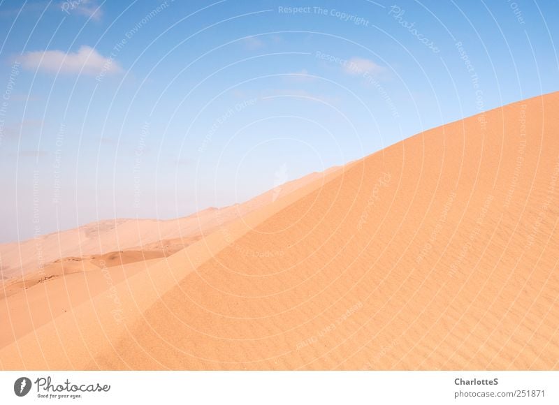 Dün(n)e Expedition Wellen Urelemente Sand Himmel Wolken Sonnenlicht Schönes Wetter Wärme Dürre Wüste wandern Unendlichkeit trocken wild blau gelb gold Klima