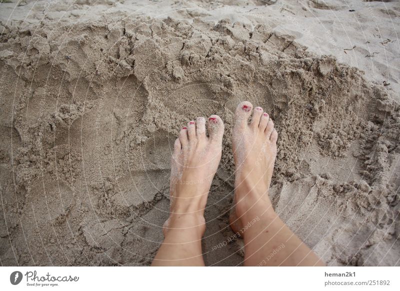 Patschefüße im Sand Sommer Strand Frau Erwachsene Beine Fuß 1 Mensch Farbfoto Außenaufnahme Tag