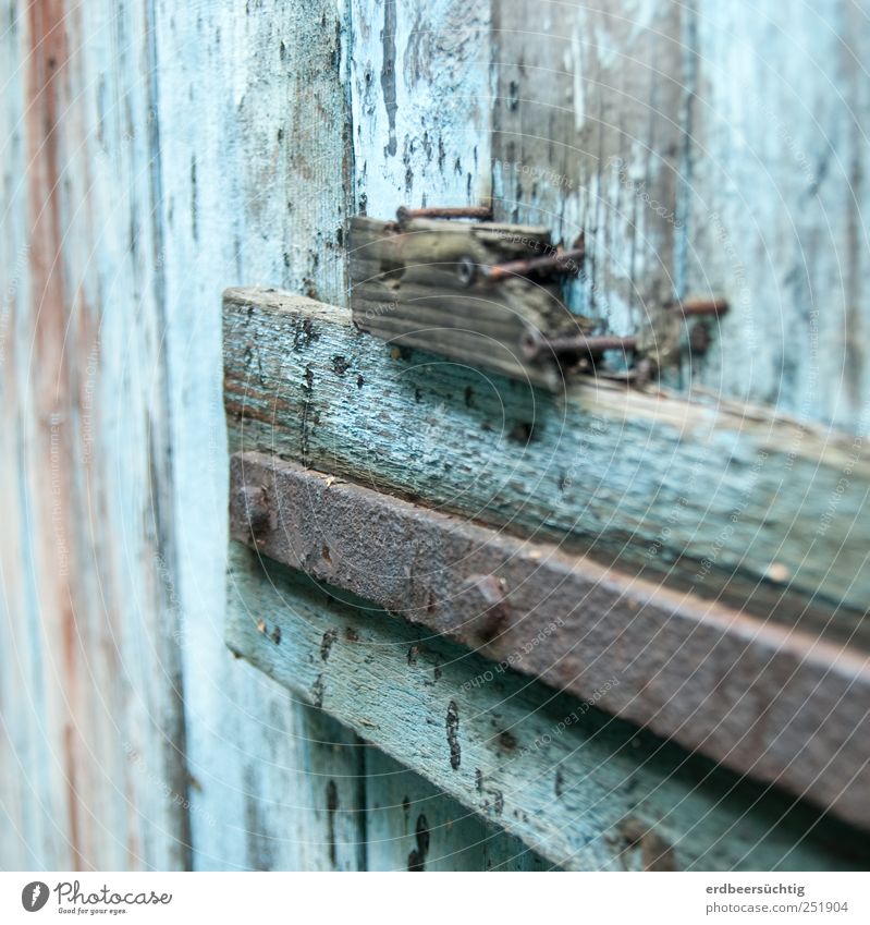 verwittert Hochhaus Tür Holz alt blau Tor Lagerschuppen morsch verrotten Nagel abblättern Farbe Zeit Vergänglichkeit Farbfoto Detailaufnahme Textfreiraum oben