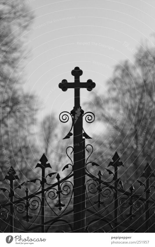Gottesacker Trauerfeier Beerdigung Tür Metall Zeichen Kreuz alt dunkel kalt schwarz Gefühle Stimmung Mitgefühl trösten Traurigkeit Tod Einsamkeit Glaube