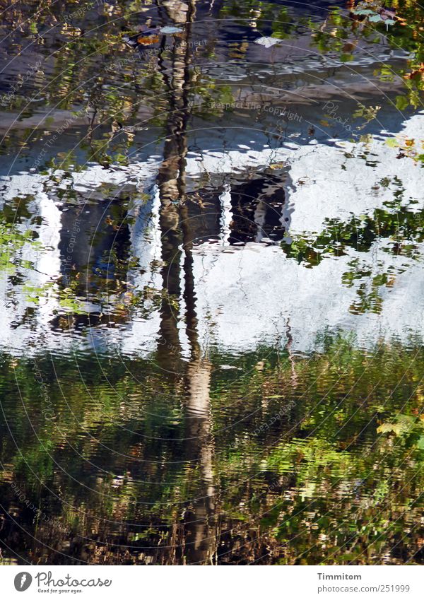 [CHAMANSÜLZ 2011] - Linsen- oder Wassertrübung Ausflug Umwelt Natur Pflanze Herbst Baum Fluss Neckar Rottweil Haus Fassade Dach ästhetisch frisch hell grün weiß