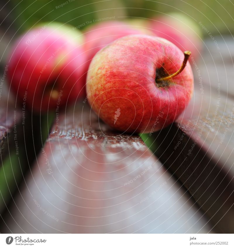 CHAMANSÜLZ | äpfel Lebensmittel Frucht Apfel Bioprodukte Vegetarische Ernährung Fingerfood Gesundheit lecker rot Farbfoto Außenaufnahme Menschenleer Tag