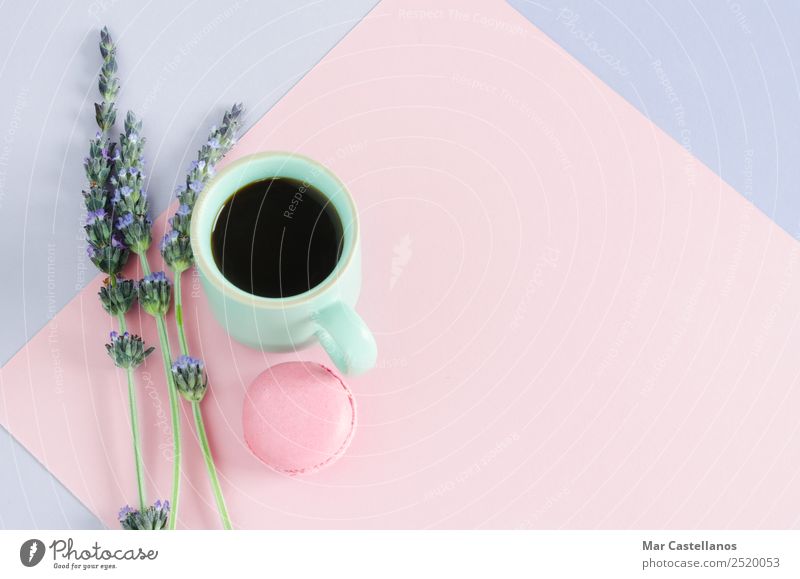 Tasse Kaffee mit Makronen und Lavendelblüten Teigwaren Backwaren Frühstück Getränk Heißgetränk Espresso Stil Design Sommer Dekoration & Verzierung Schreibtisch