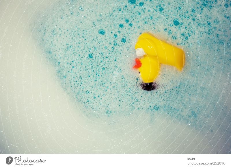 Quietscheentchen nur mit dir Freude Schwimmen & Baden Badewanne Wasser Spielzeug Badeente liegen klein lustig niedlich blau gelb weiß Kindheit Ente Farbfleck