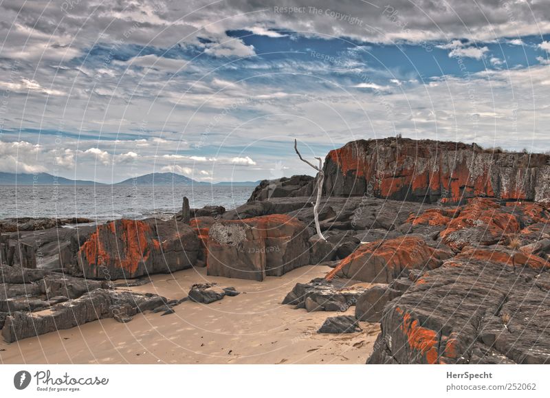 Weltende Ostsüdost Landschaft Sand Wasser Himmel Wolken Wellen Küste Strand Bucht Meer Einsamkeit Idylle Natur Ferne ruhig Tasmanien Felsen Färbung rot Farbfoto