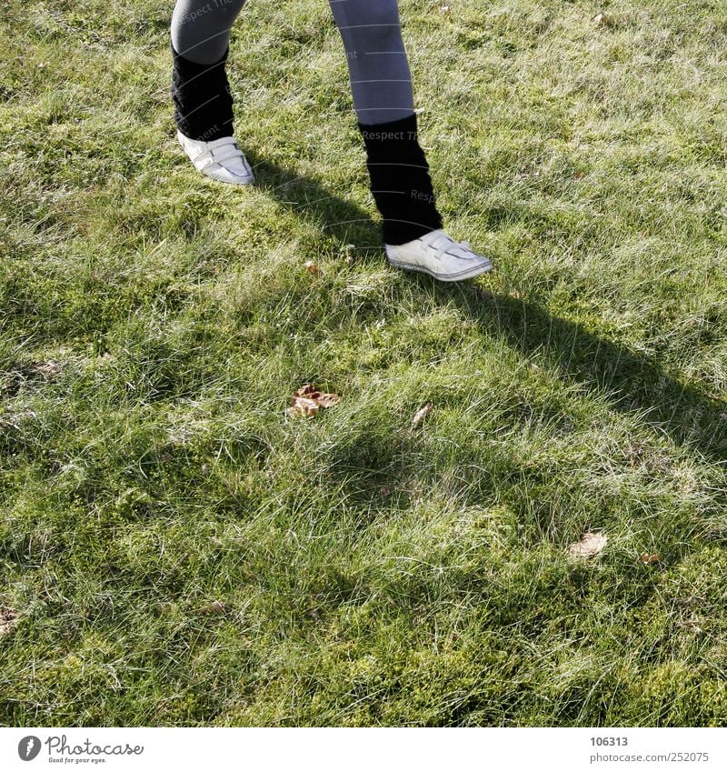 Fotonummer 208634 wandern Gras Wiese Fitness gehen laufen rennen Beine Knie Schuhe Wege & Pfade Ziel schreiten zielstrebig mitkommen Schatten walken Spaziergang